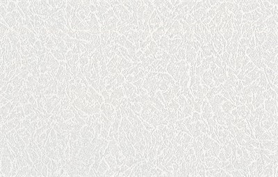Обои виниловые на флизелиновой основе под покраску Вьюга Belvinil, 1,06х25м - фото 7816